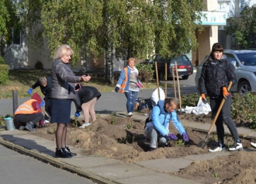 Аллея Роз в Южноукраинске (инициатива в поддержку проекта Музея)